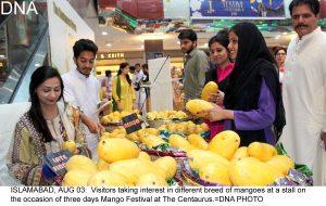 ISLAMABAD, AUG 03:  Visitors taking interest in different breed of mangoes at a stall on the occasion of three days Mango Festival at The Centaurus.=DNA PHOTO